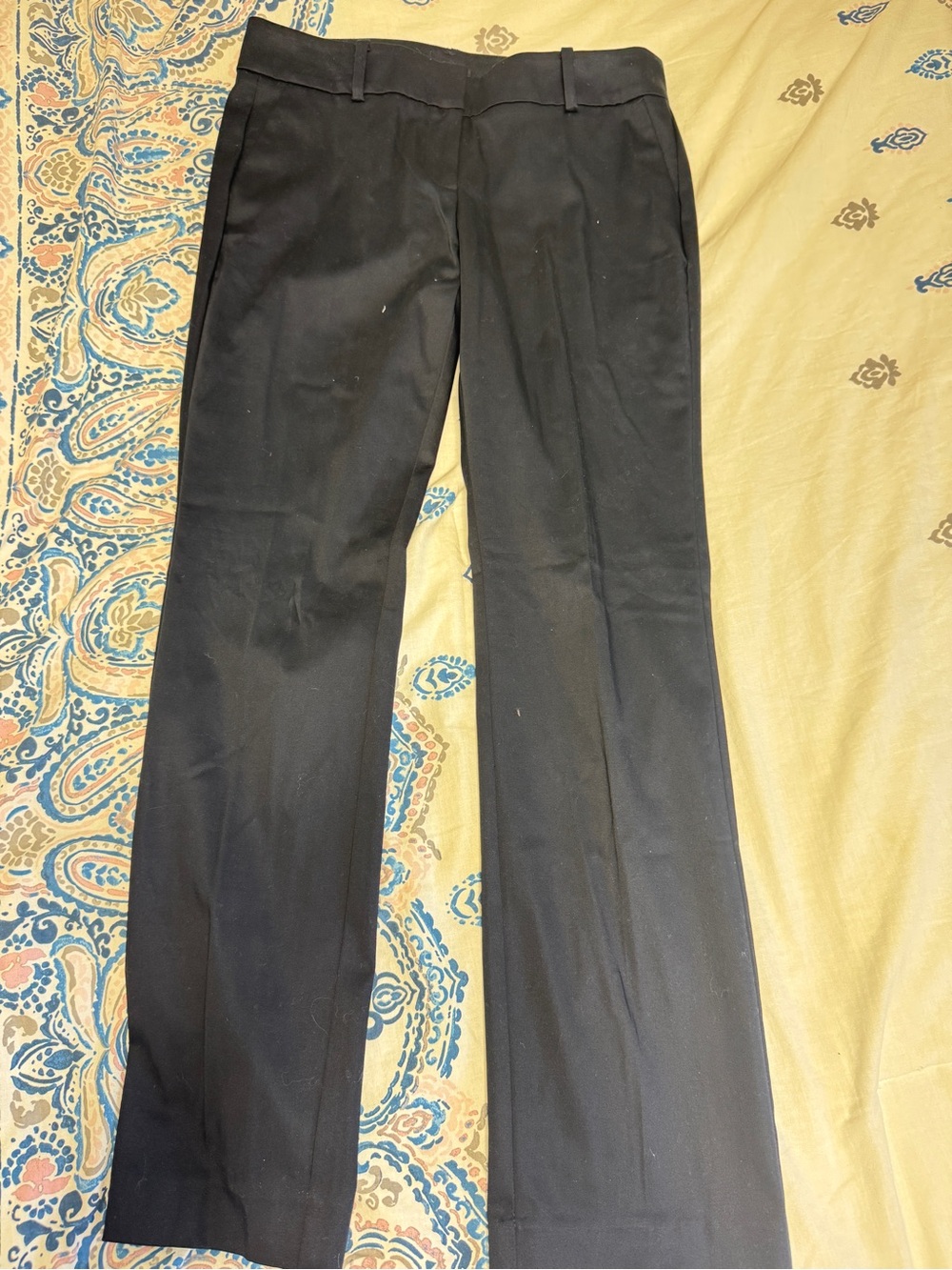 Ann Taylor Women’s Navy Dress Pants